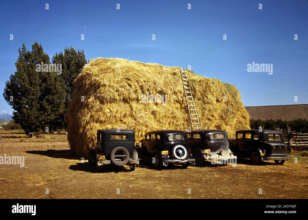 Hay stack and automobiles belonging to farm workers, Delta County, Colorado USA. 1940 U.S. Office of War Information, 1944. Stock Photo