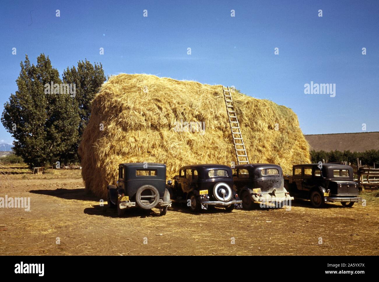 Hay stack and automobile of peach pickers, Delta County, Colorado 1940 Stock Photo