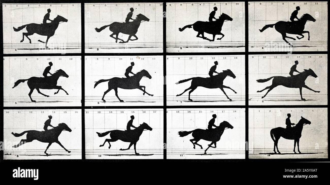 Horse in Motion by Eadweard Muybridge (1830-1904) an English photographer important for his pioneering work in photographic studies of motion, and early work in motion-picture projection. Dated 1877 Stock Photo