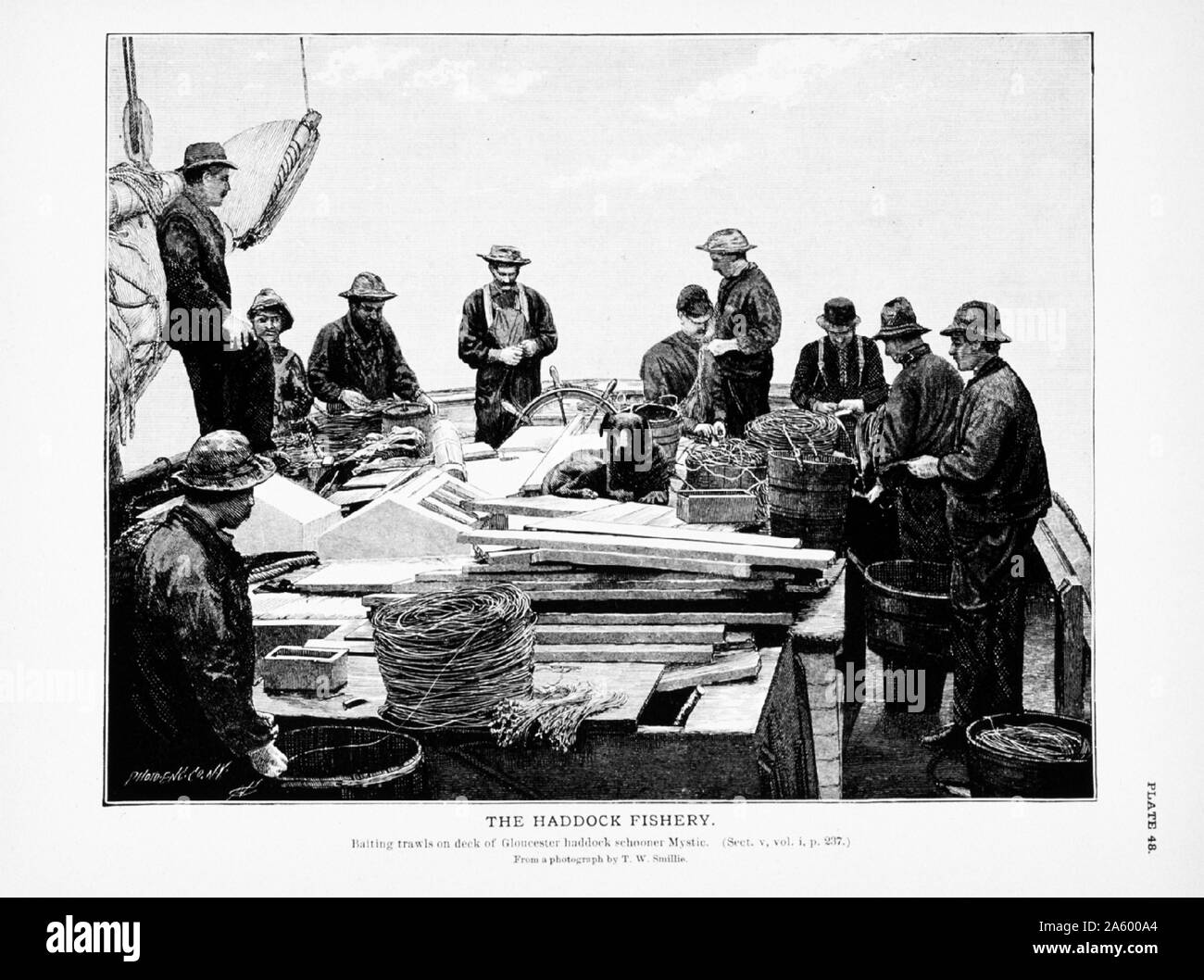 Baiting trawls on deck of Gloucester haddock schooner Mystic, Captain McKennon. By T.W. Smillie Stock Photo