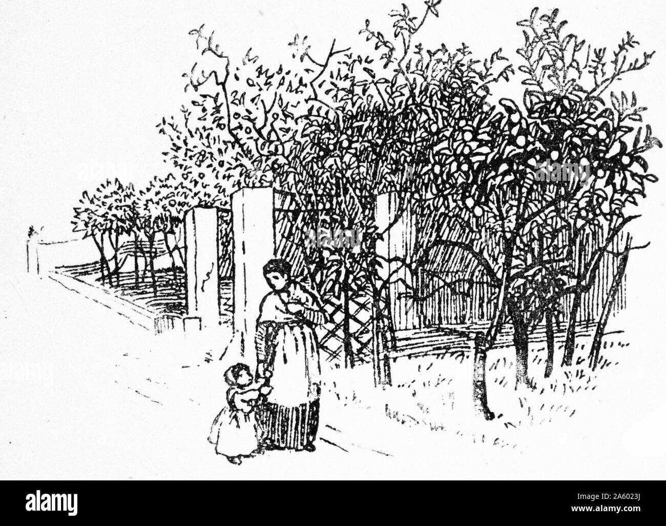 Woodcut illustration of a mother and child walking past a field of farming goods and apple trees . Dated 1877 Stock Photo