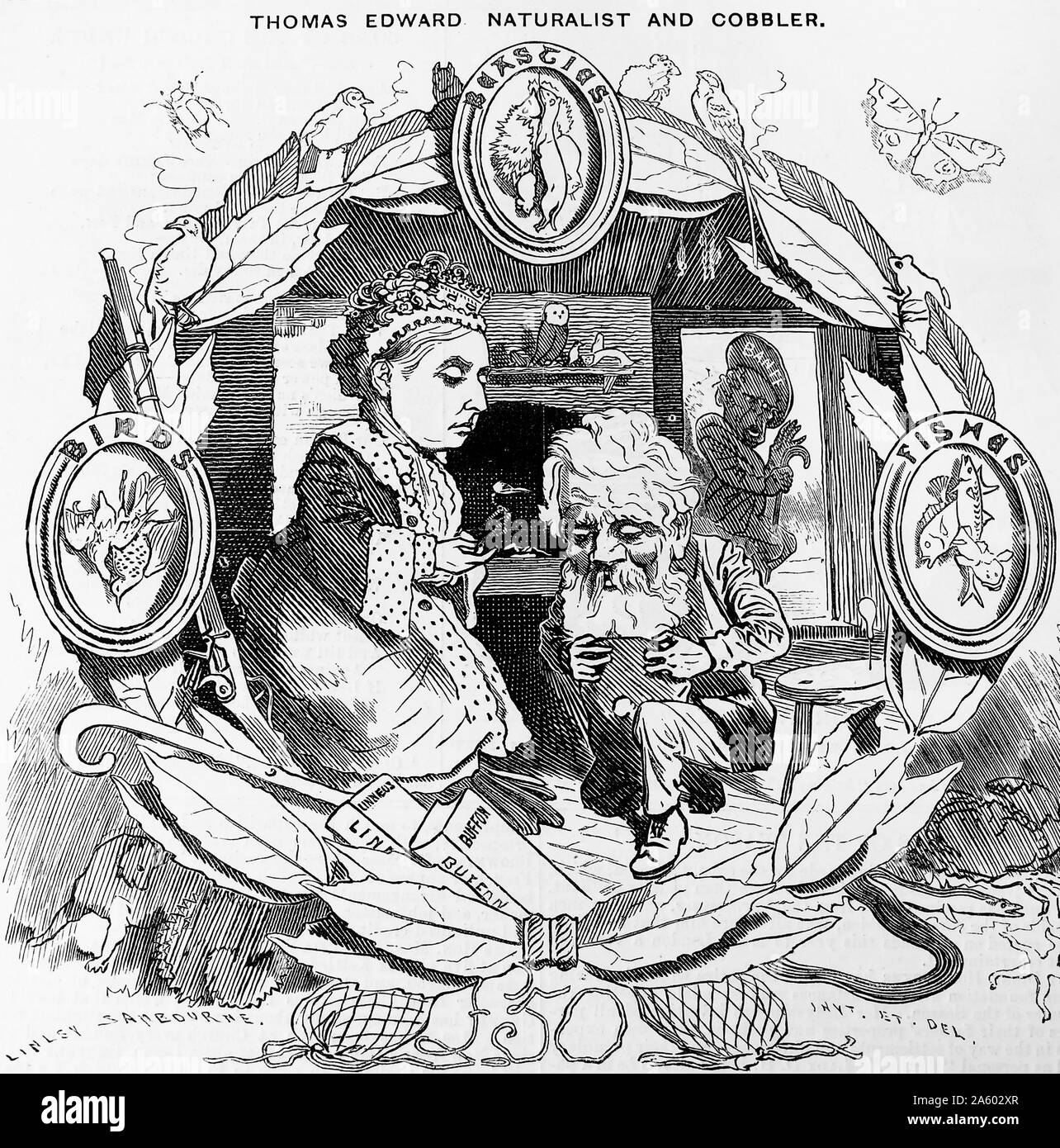 Thomas Edward (1814-1886) Naturalist and shoemaker. Discovered 20 new species of crustacea. Received pension from Civil List in 1876. Stock Photo