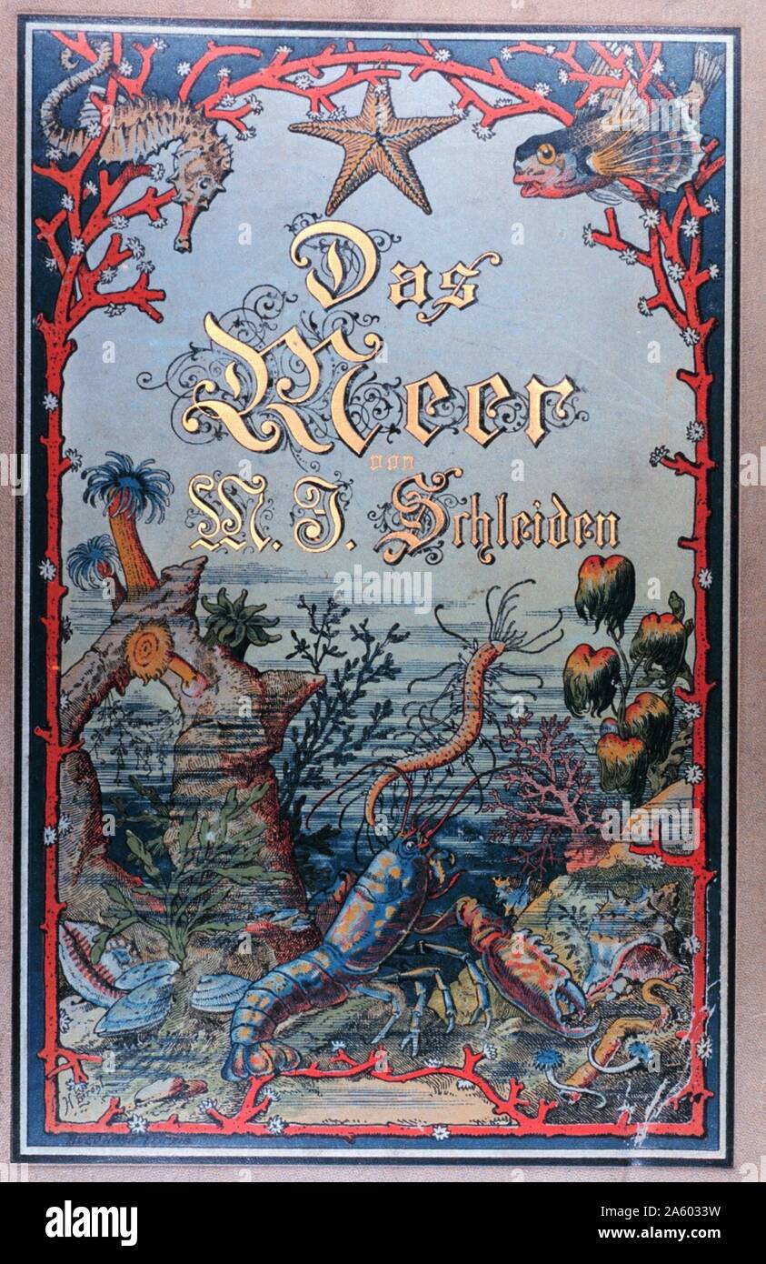 Illustrated front cover from (The Sea) 'Das Meer' by M.J. Schleiden, 1804-1881. Stock Photo