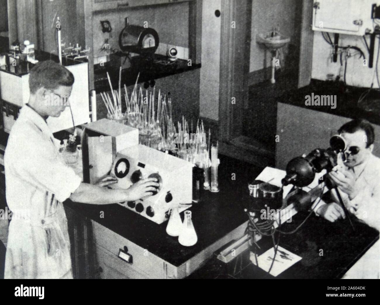 Photograph of scientist experimenting with milk samples. Dated 20th Century Stock Photo