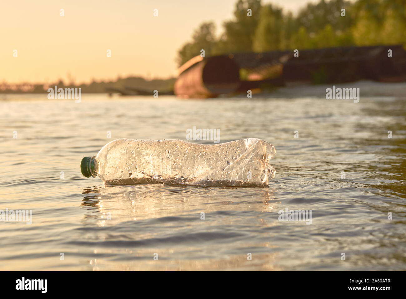 Rumpled plastic bottle floats on the surface of the water. Sunset