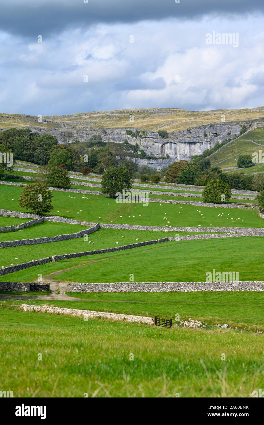 Malham Cove, North Yorkshire. Stock Photo