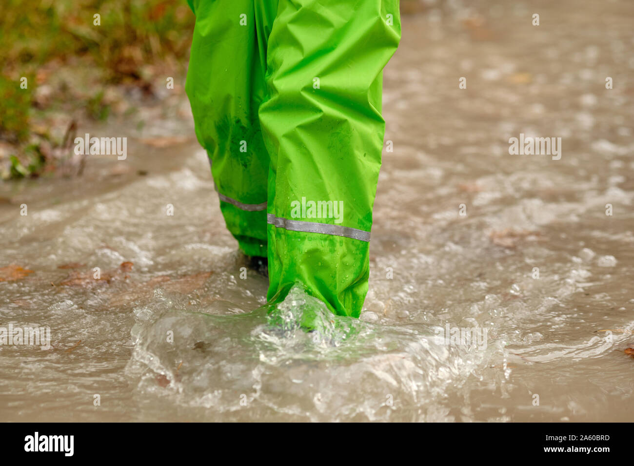 Low section of a child girl in green waterproof pants and rubber boots walking through a huge rain puddle in the forest on a rainy autumn day in Octob Stock Photo