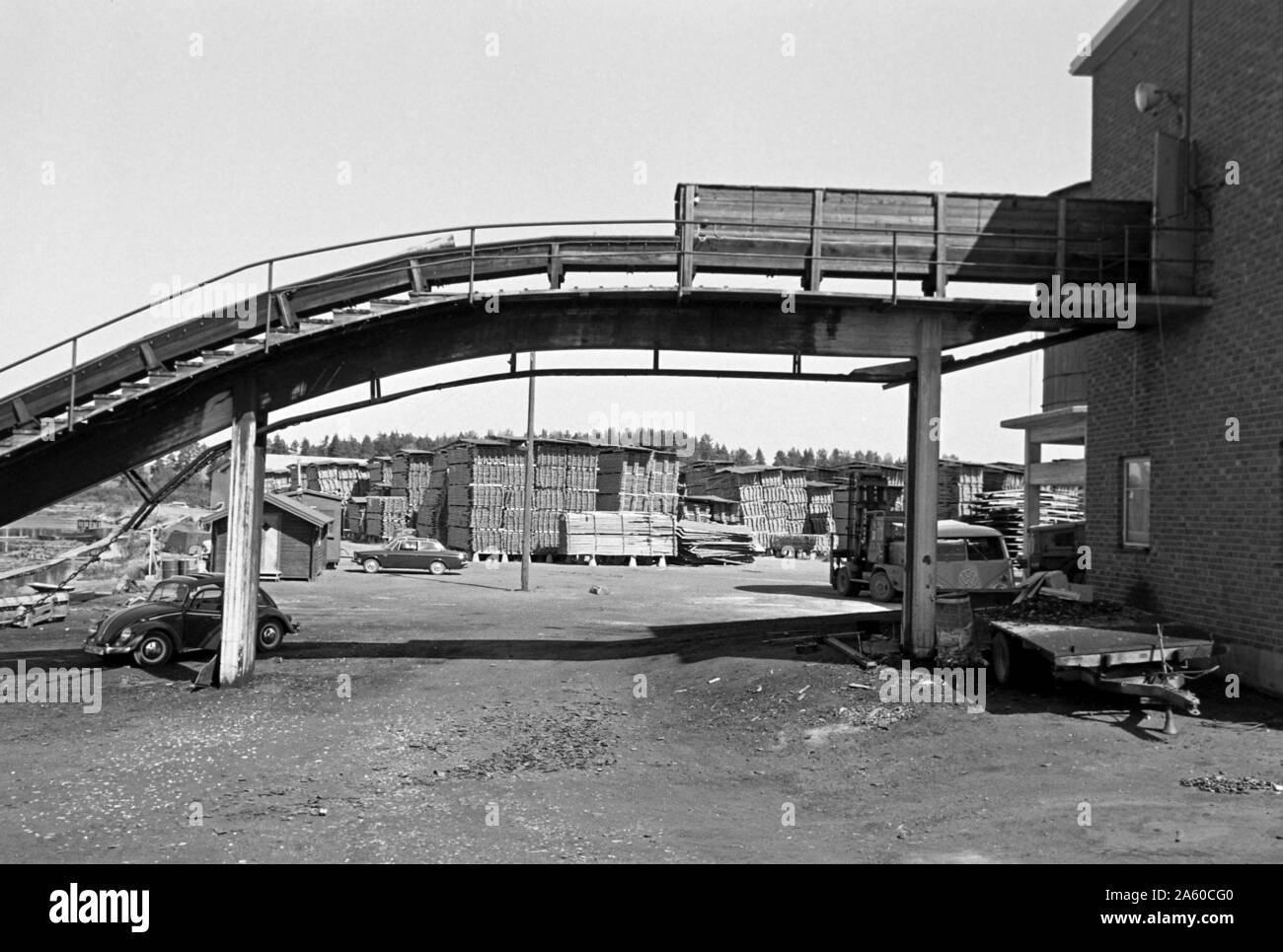Holzfabrik mit Transportband, Bollnäs, Schweden, 1969. Wood factory with conveyor belt, Bollnäs, Sweden, 1969. Stock Photo