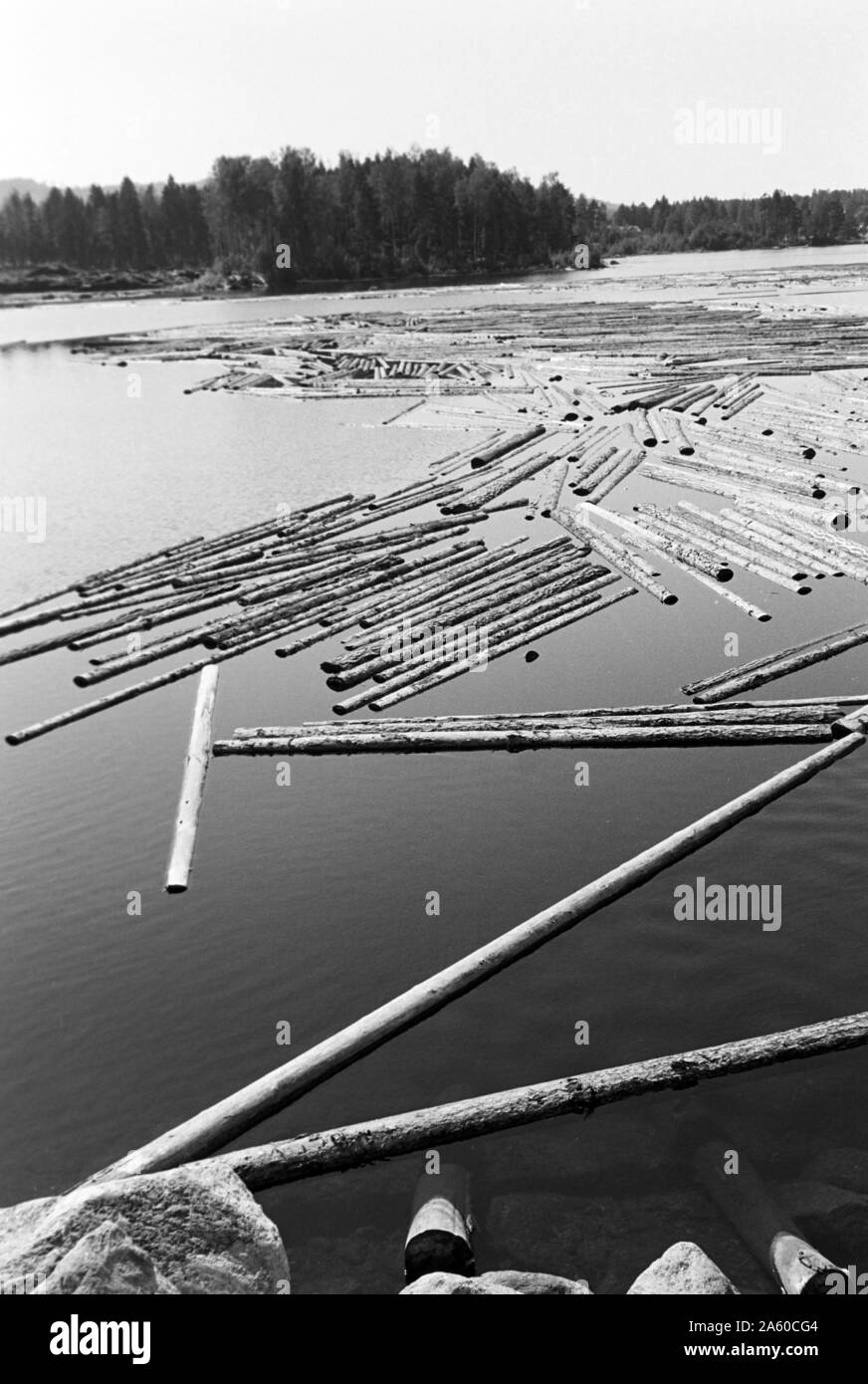 Holzsammelstelle und Bretterstapel, Bollnäs, Schweden, 1969. Wood collection point and board pile, Bollnäs, Sweden, 1969. Stock Photo