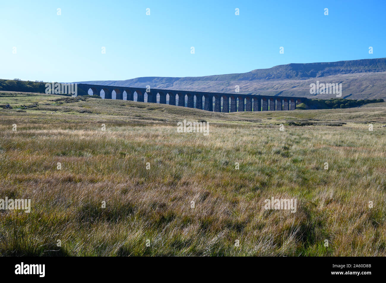 Ribblehead Viaduct on the Settle to Carlisle Railway Line, North Yorkshire with Whernside Fell beyond. Stock Photo