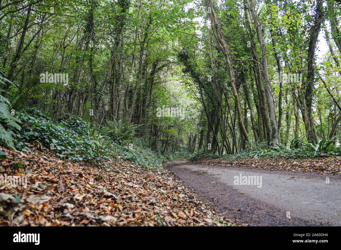 Earl’s Drive leading from Cawsands to Penlee Point and Queen Adelaides