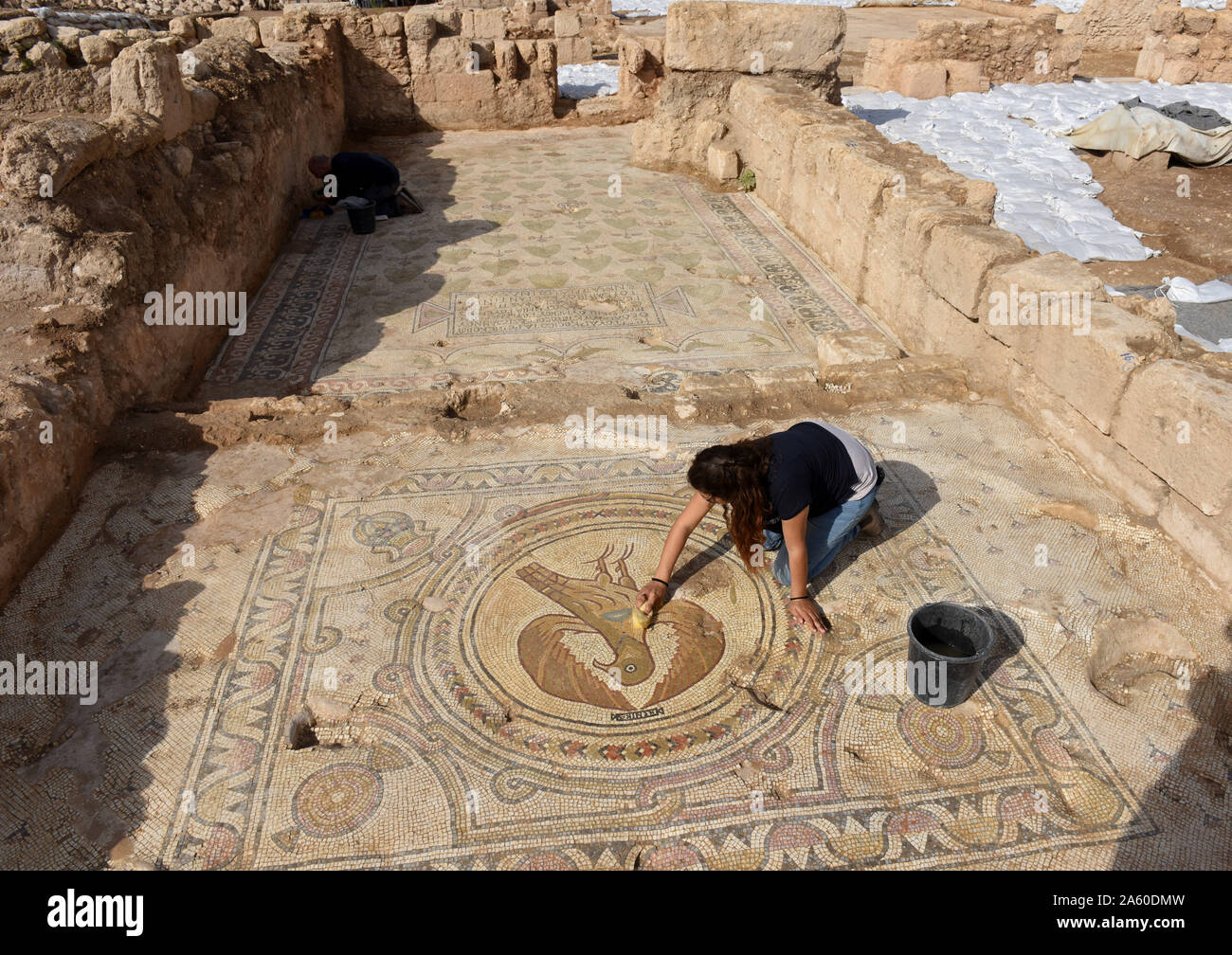 Ramat Beit Shemesh, Israel. 23rd Oct, 2019. A worker for the Israel Antiquities Authority cleans a mosaic of a large eagle in a 1,500 year old Byzantine church in Ramat Beit Shemesh, on Wednesday, October 23, 2019. The three years excavations uncovered the church, Greek inscriptions, mosaics, a baptismal and a crypt of an unknown glorious martyr. Photo by Debbie Hill/UPI Credit: UPI/Alamy Live News Stock Photo