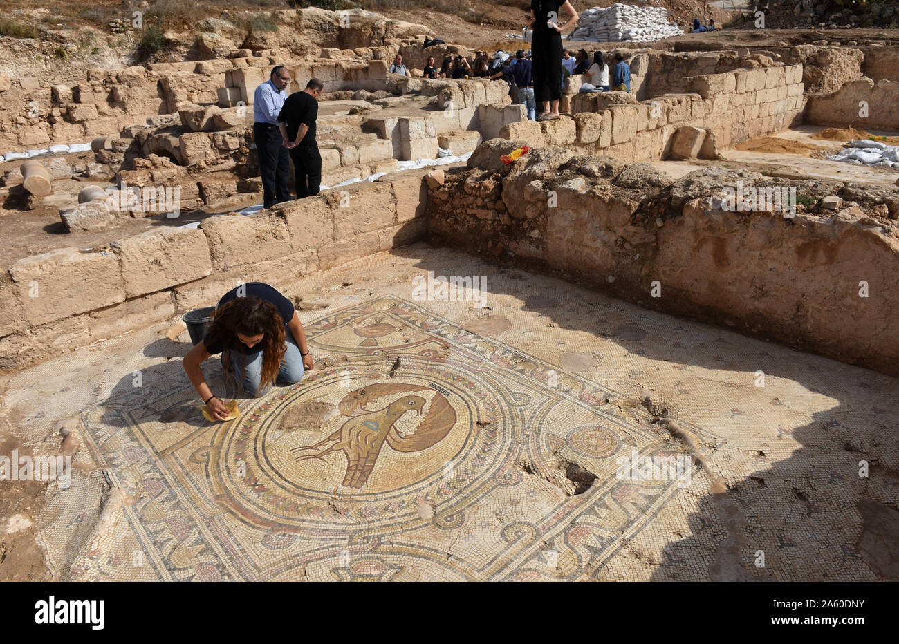Ramat Beit Shemesh, Israel. 23rd Oct, 2019. A worker for the Israel Antiquities Authority cleans a mosaic of a large eagle in a 1,500 year old Byzantine church in Ramat Beit Shemesh, on Wednesday, October 23, 2019. The three years excavations uncovered the church, Greek inscriptions, mosaics, a baptismal and a crypt of an unknown glorious martyr. Photo by Debbie Hill/UPI Credit: UPI/Alamy Live News Stock Photo