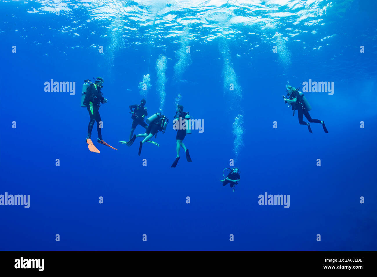 Divers (MR) pictured hanging at 15 feet for a stop before