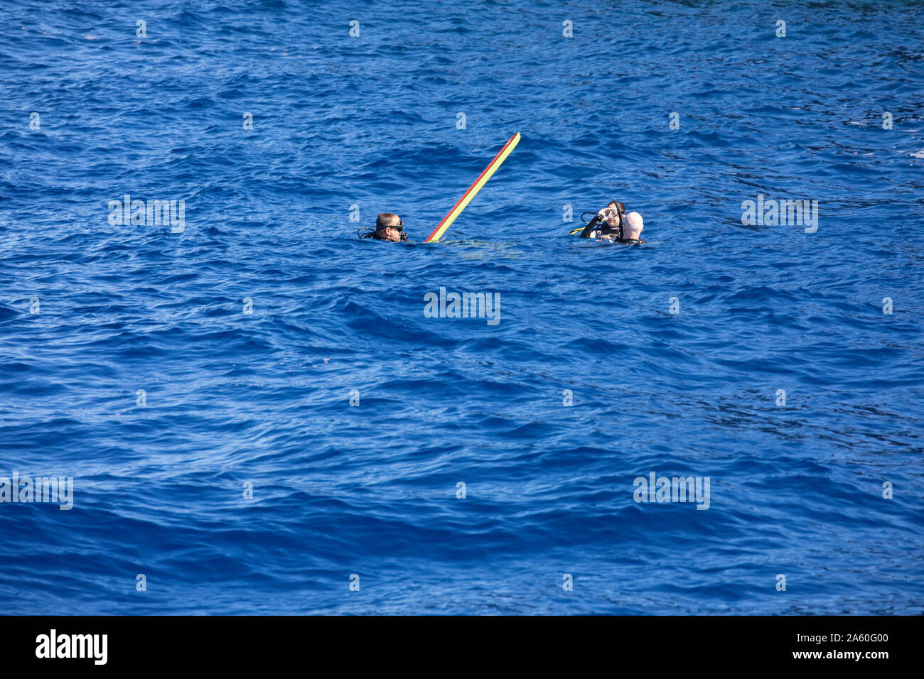 Three divers on the surface with an inflated safety signal device, Hawaii. Stock Photo