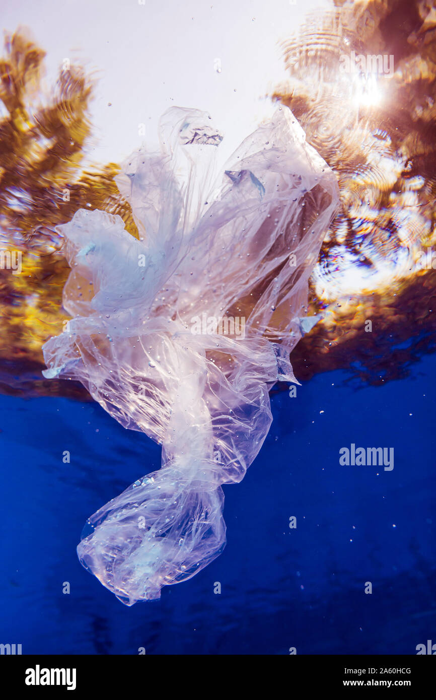 Plastic bag floating in water Stock Photo Alamy