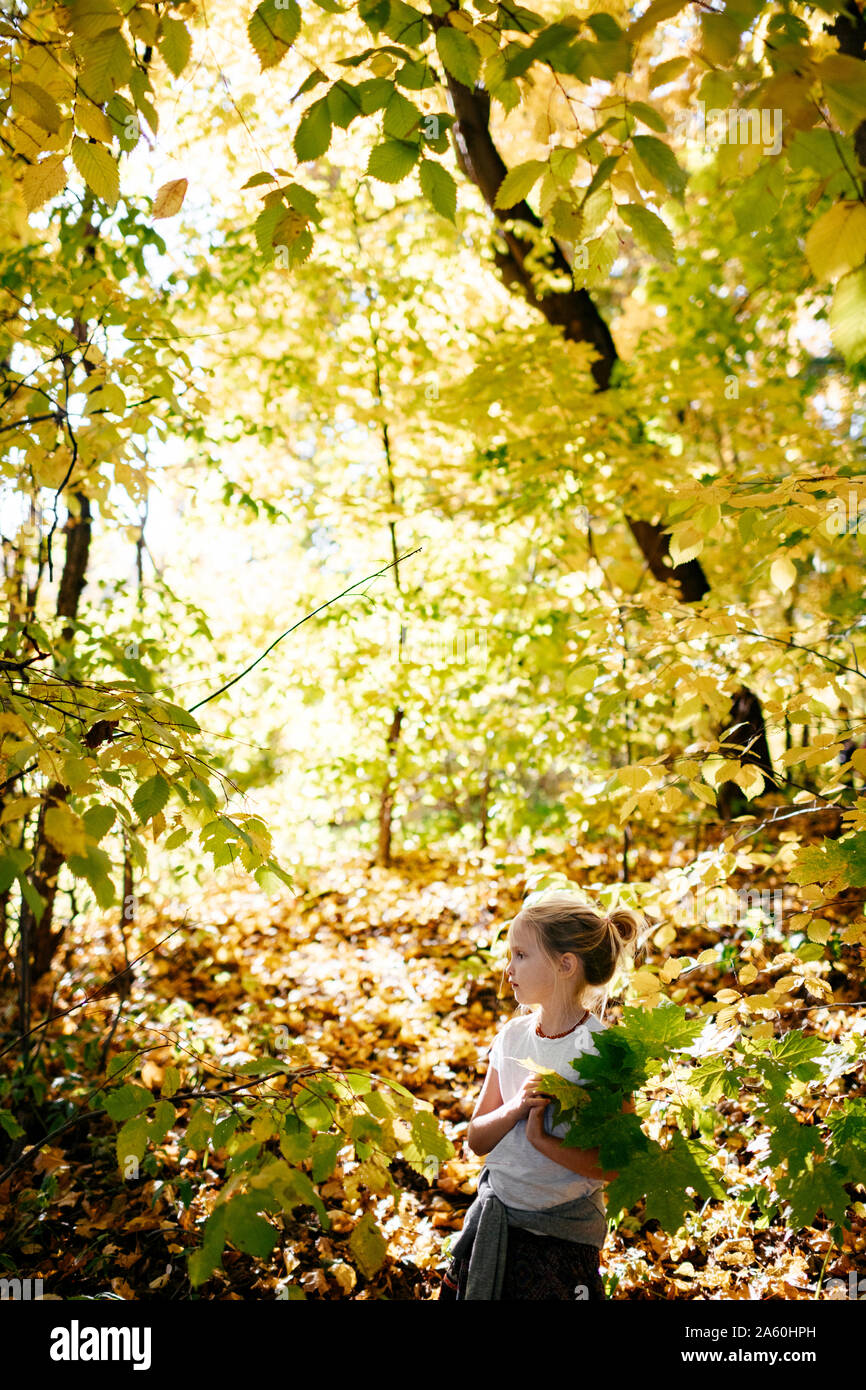 Little girl in autumnal forest Stock Photo - Alamy