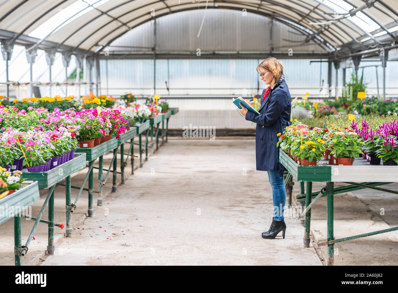 Female manager working in a plant nursery Stock Photo Alamy
