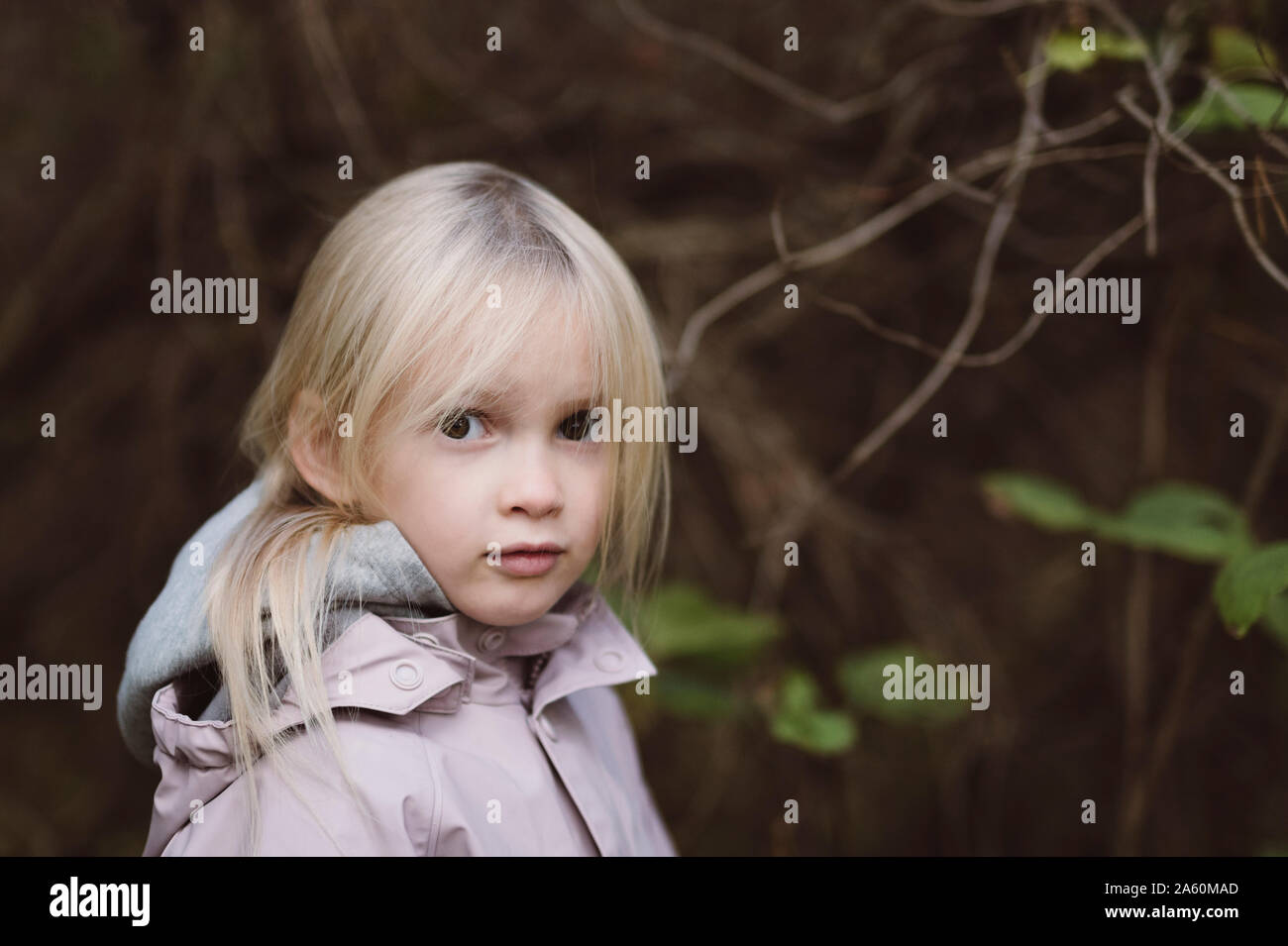 Portrait of staring little girl in the woods Stock Photo