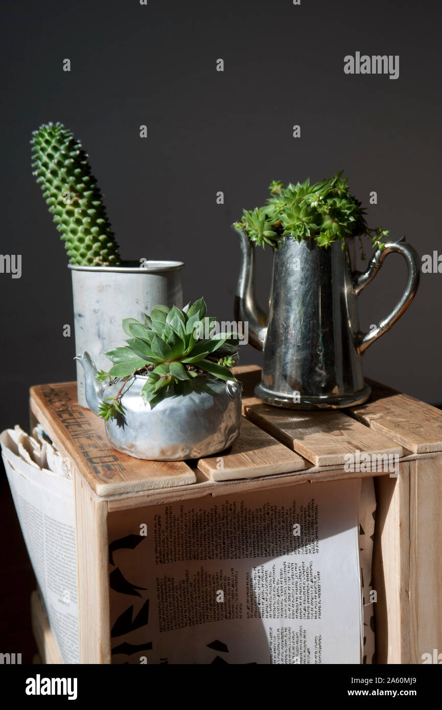 Stool made from old wine and apple crates, succulents in metal Stock Photo