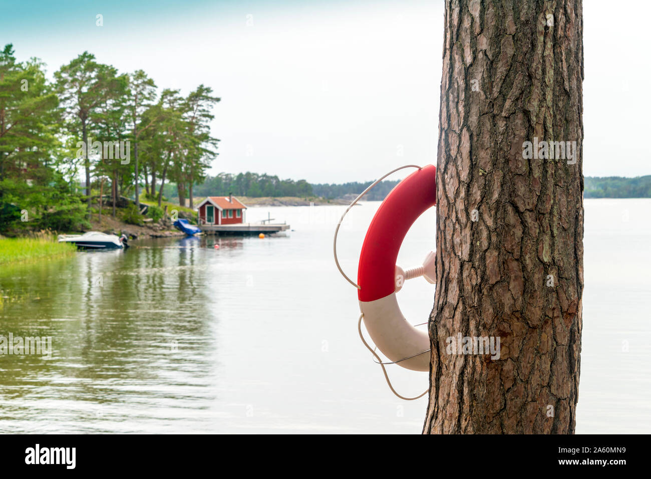 Life belt hanging on tree trunk by river against sky in Loftahammar, Sweden Stock Photo
