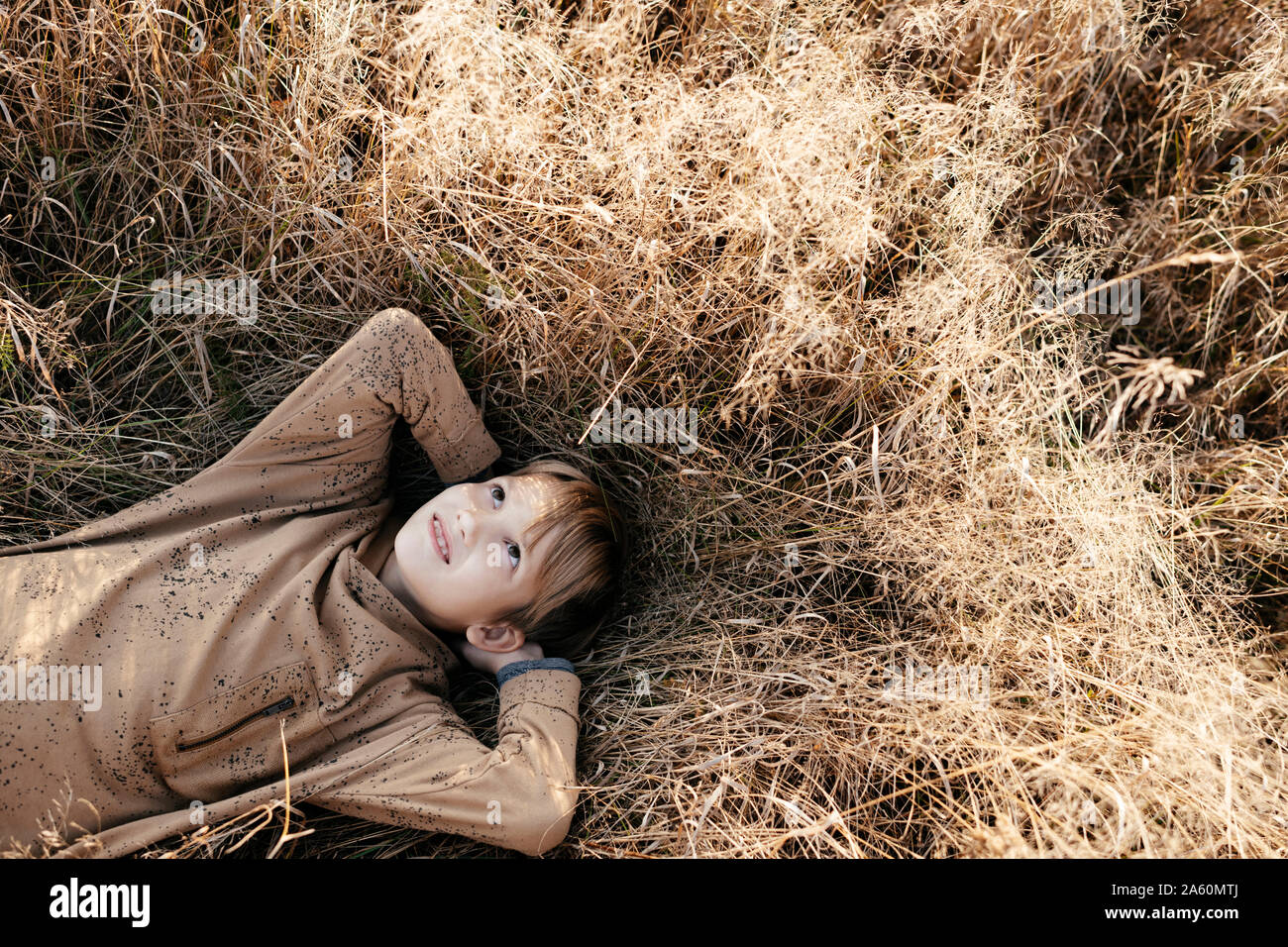 Portrait of smiling boy lying on autumnal meadow Stock Photo