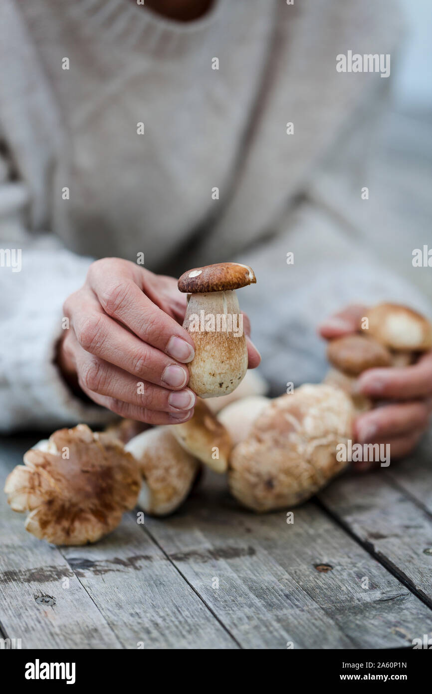 Close-up of woman holding fresh porcinis Stock Photo