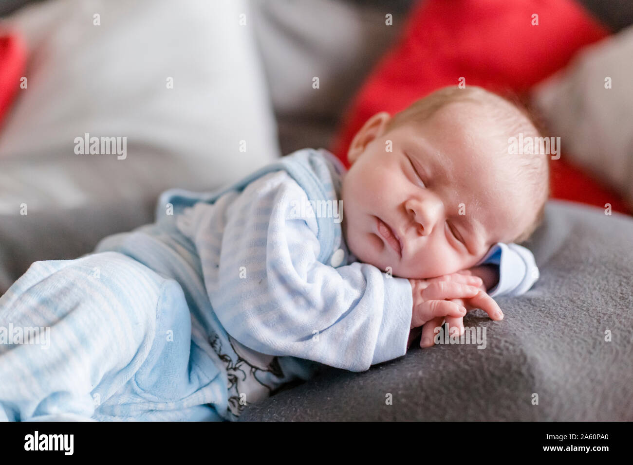 Newborn baby boy sleeping on a blanket Stock Photo - Alamy