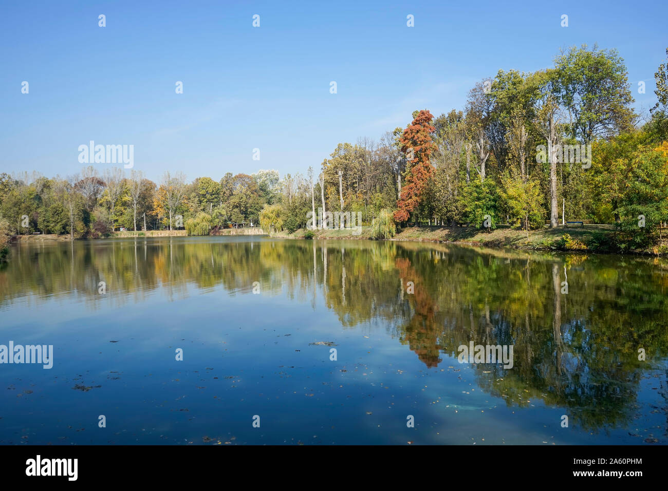 Serene and calm lake with fall foliage colors of the trees in the background , autumn landscape near Ploiesti City, Romania Stock Photo