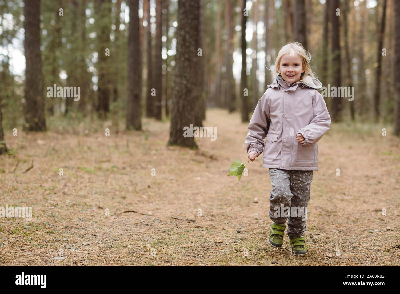 Portrait of smiling little girl in the woods Stock Photo - Alamy