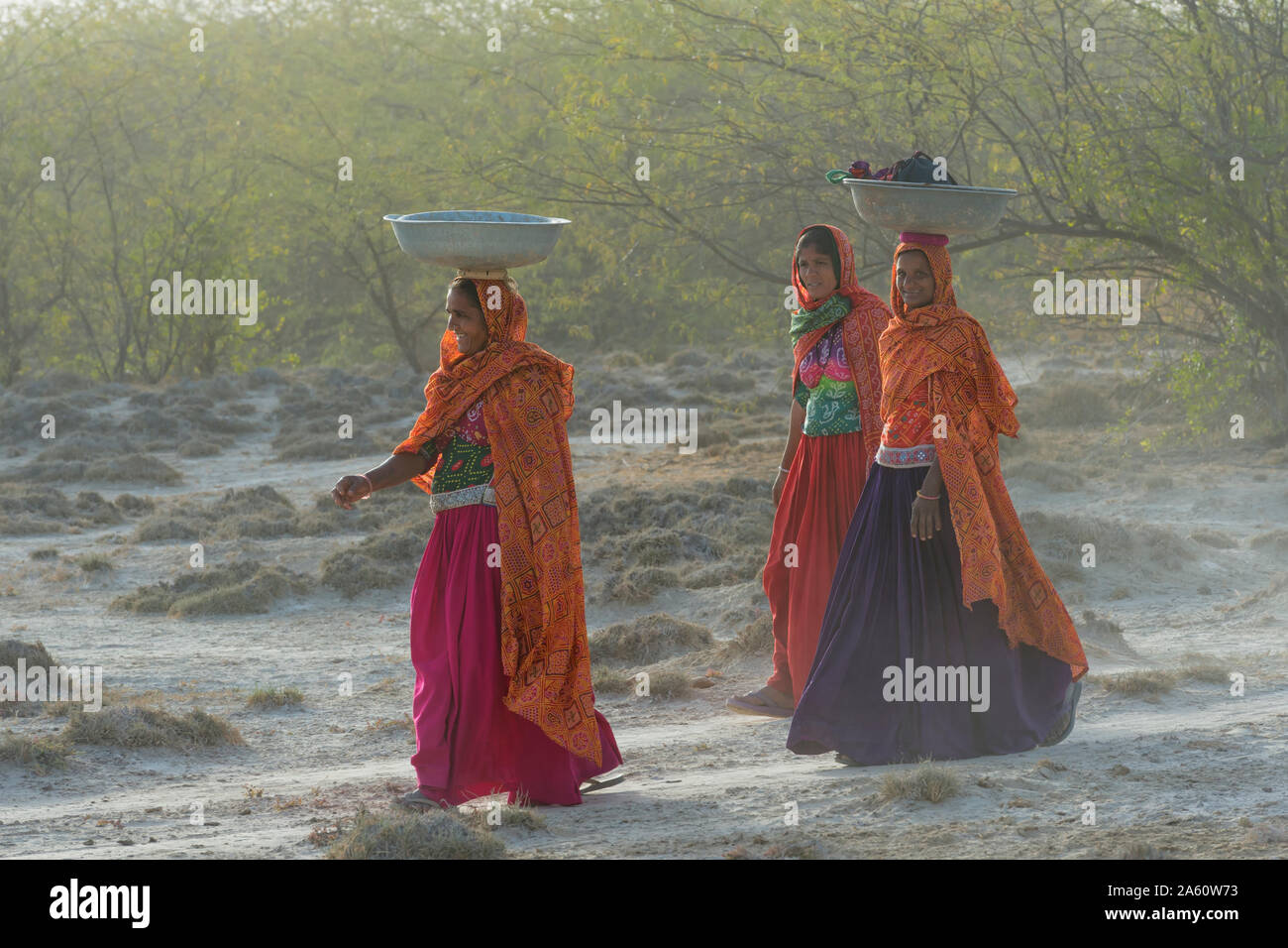 Fakirani women in traditional clothes walking in the desert with basins on their heads, Great Rann of Kutch Desert, Gujarat, India, Asia Stock Photo