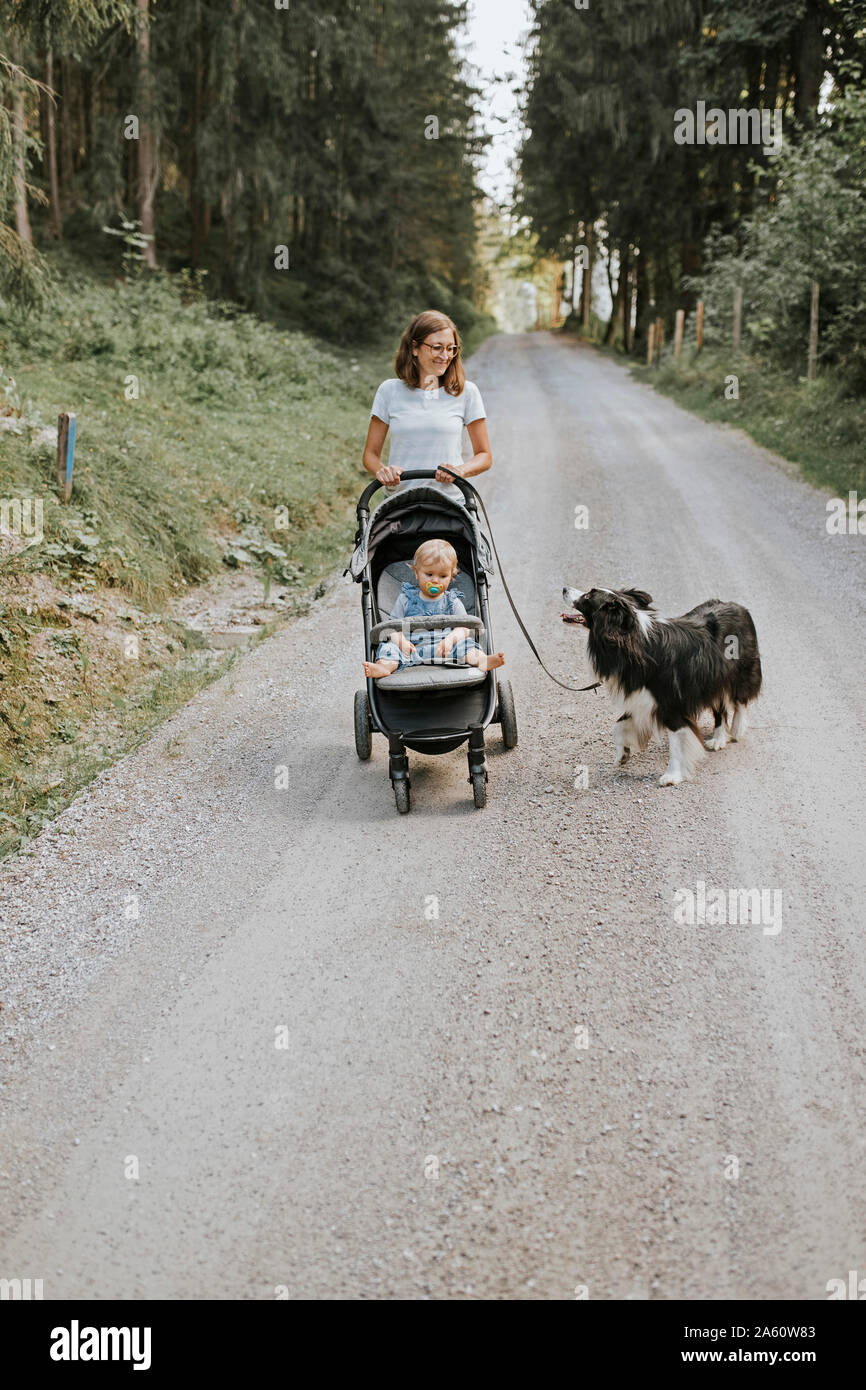 Mother with baby in stroller and dog walking on forest path Stock Photo