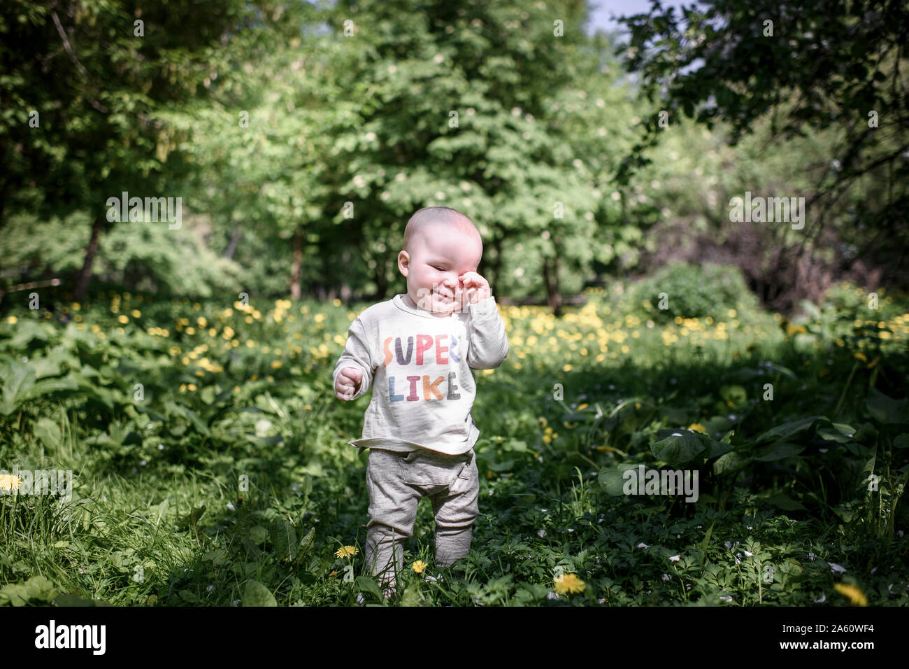Portrait of cute baby boy in the park Stock Photo