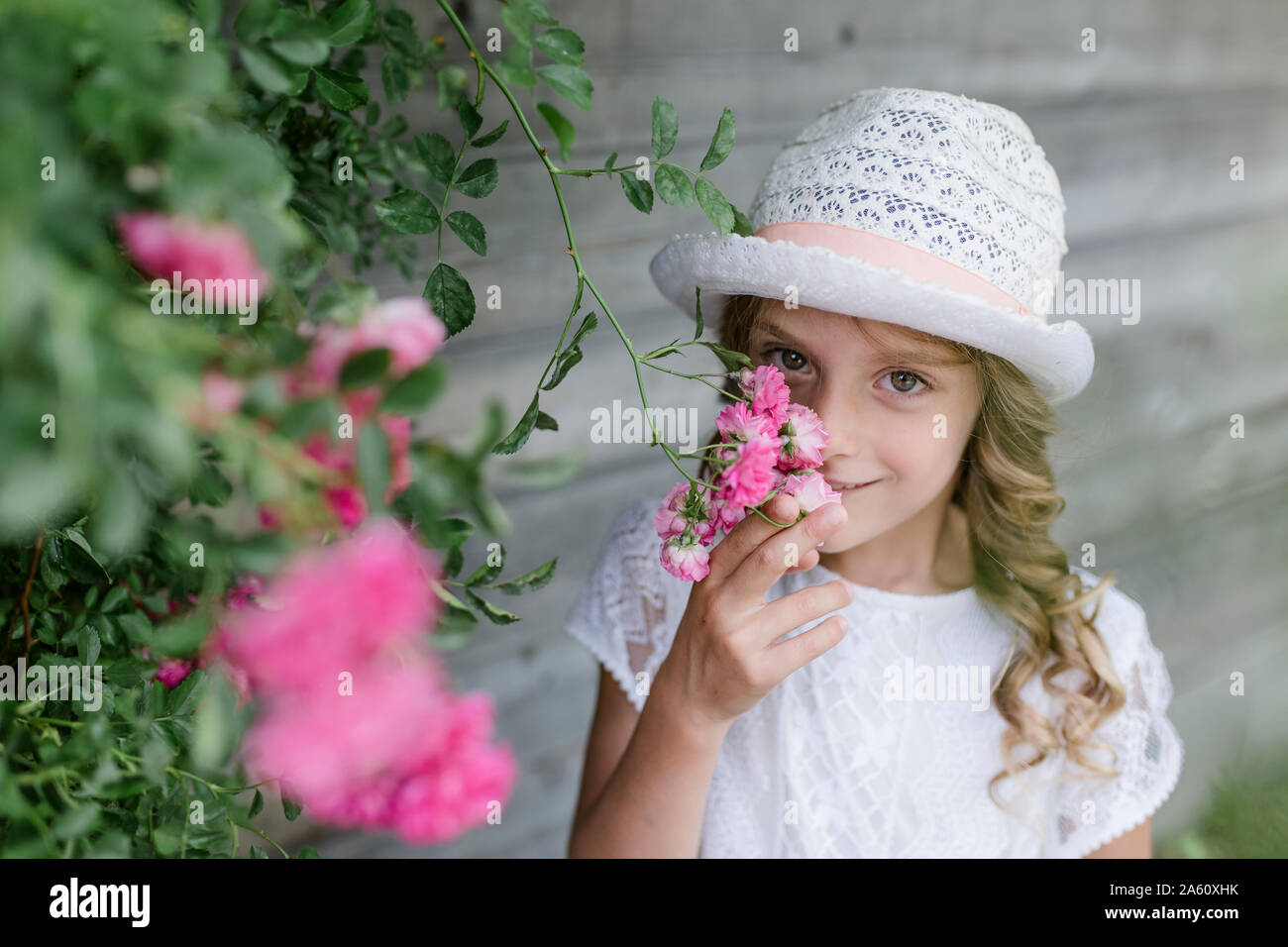 Portrait of girl at rosebush smelling at blossom Stock Photo