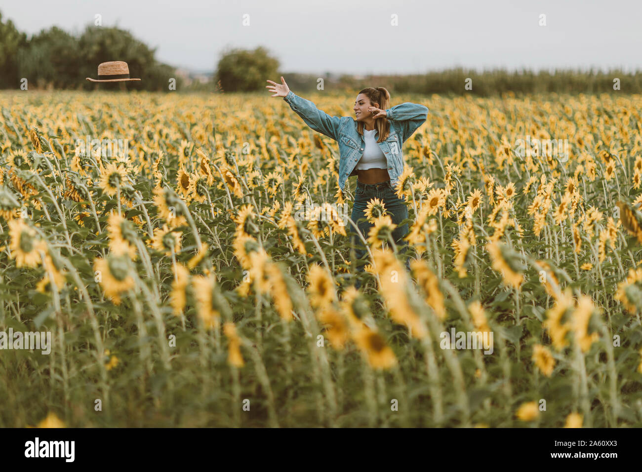 Young woman with blue denim jacket throwing a hat in a field of sunflowers Stock Photo