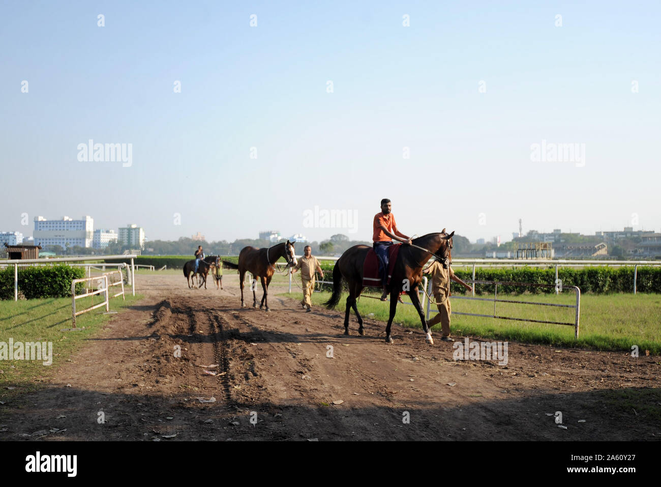 Race horses being exercised at the famous Royal Calcutta Turf Club, built in 1820, Kolkata, West Bengal, India, Asia Stock Photo