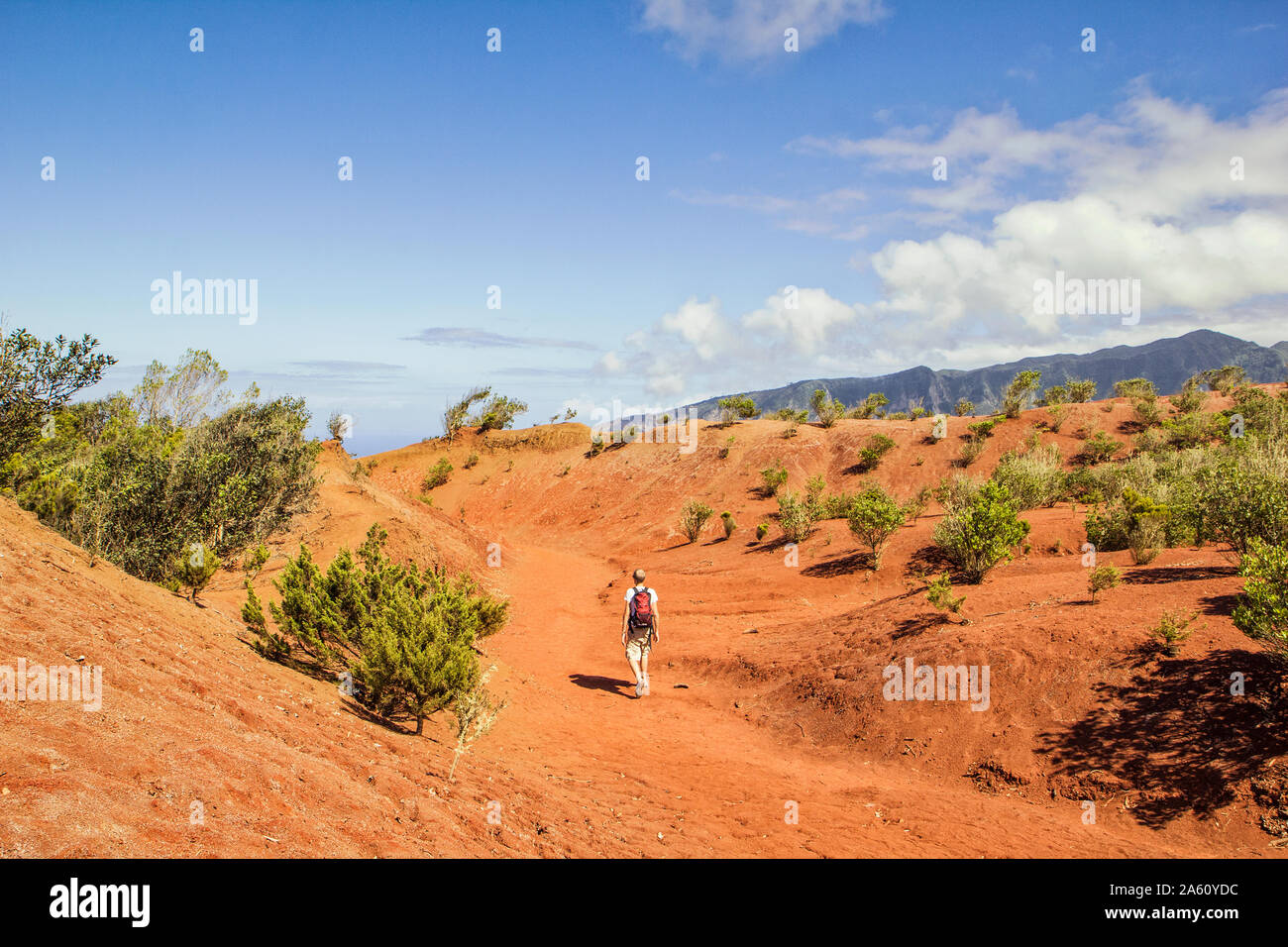 Hiker on red soil, Agulo, La Gomera, Canary Islands, Spain Stock Photo