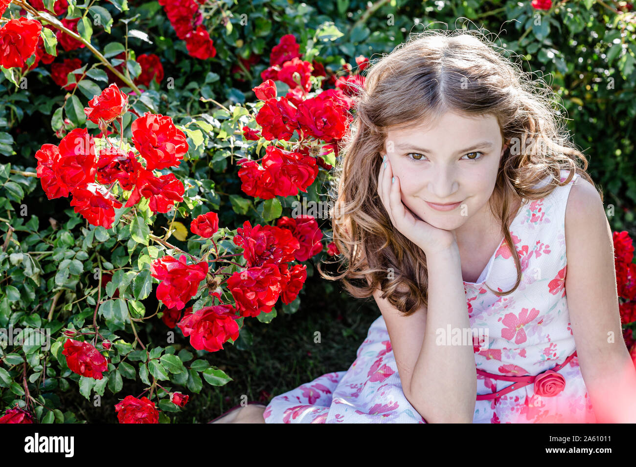 Sitting on a flowering meadow hi-res stock photography and images - Alamy