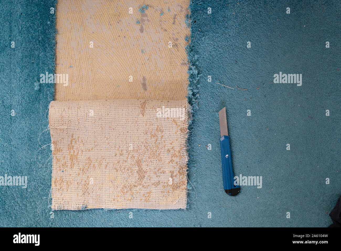 Removing old carpeting Stock Photo Alamy