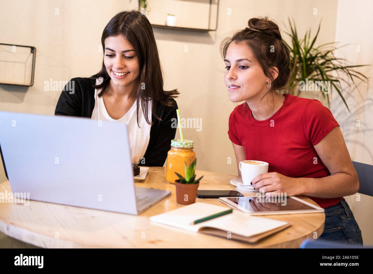 Two young women using laptop in a cafe Stock Photo - Alamy