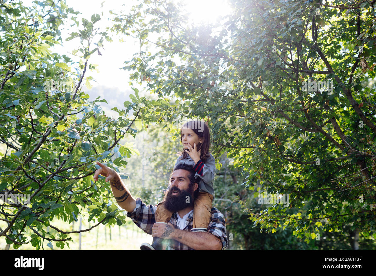 Father talking to kid on his shoulders in the forest Stock Photo - Alamy