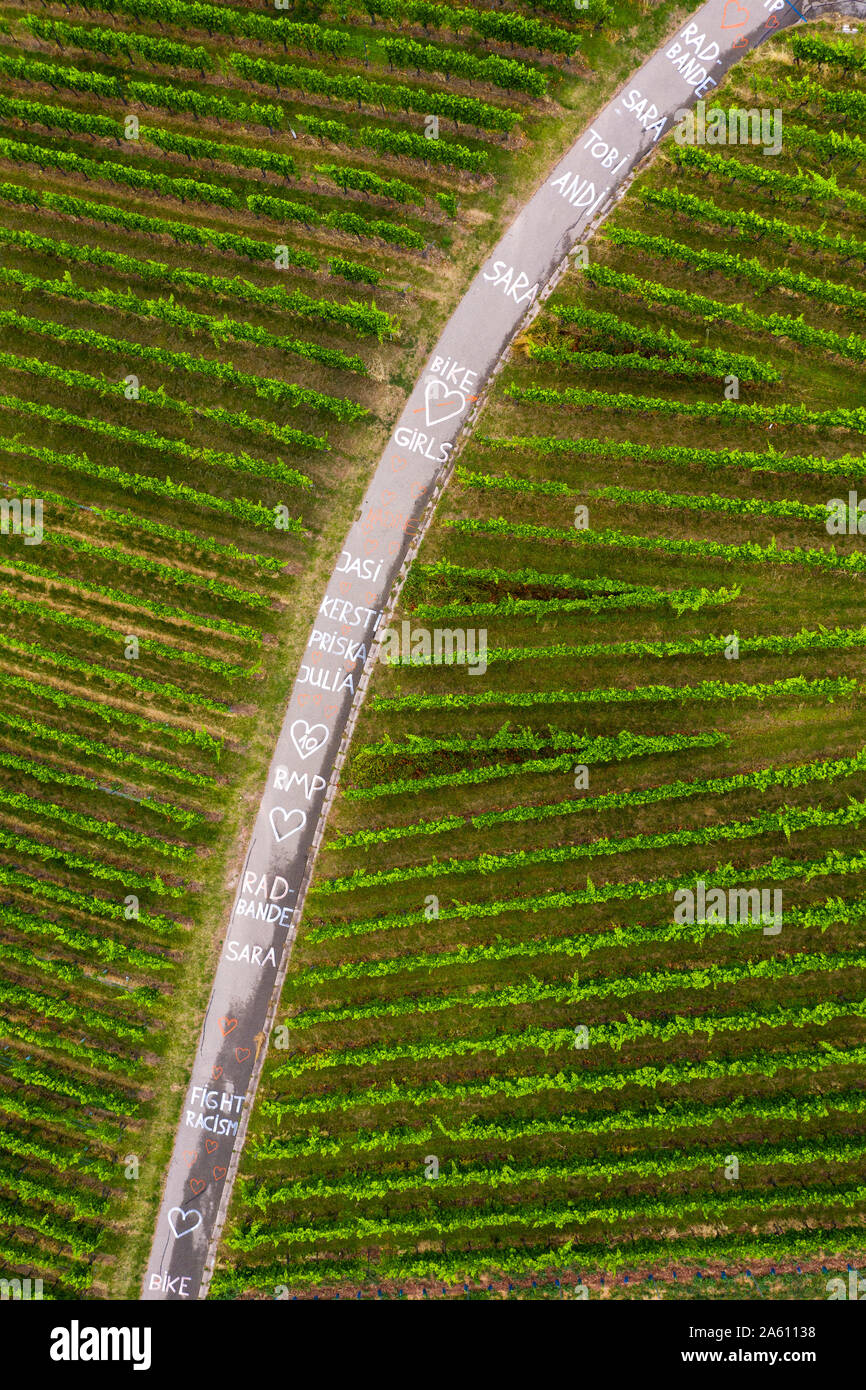 Words written on winding road through vinyards, Germany Stock Photo