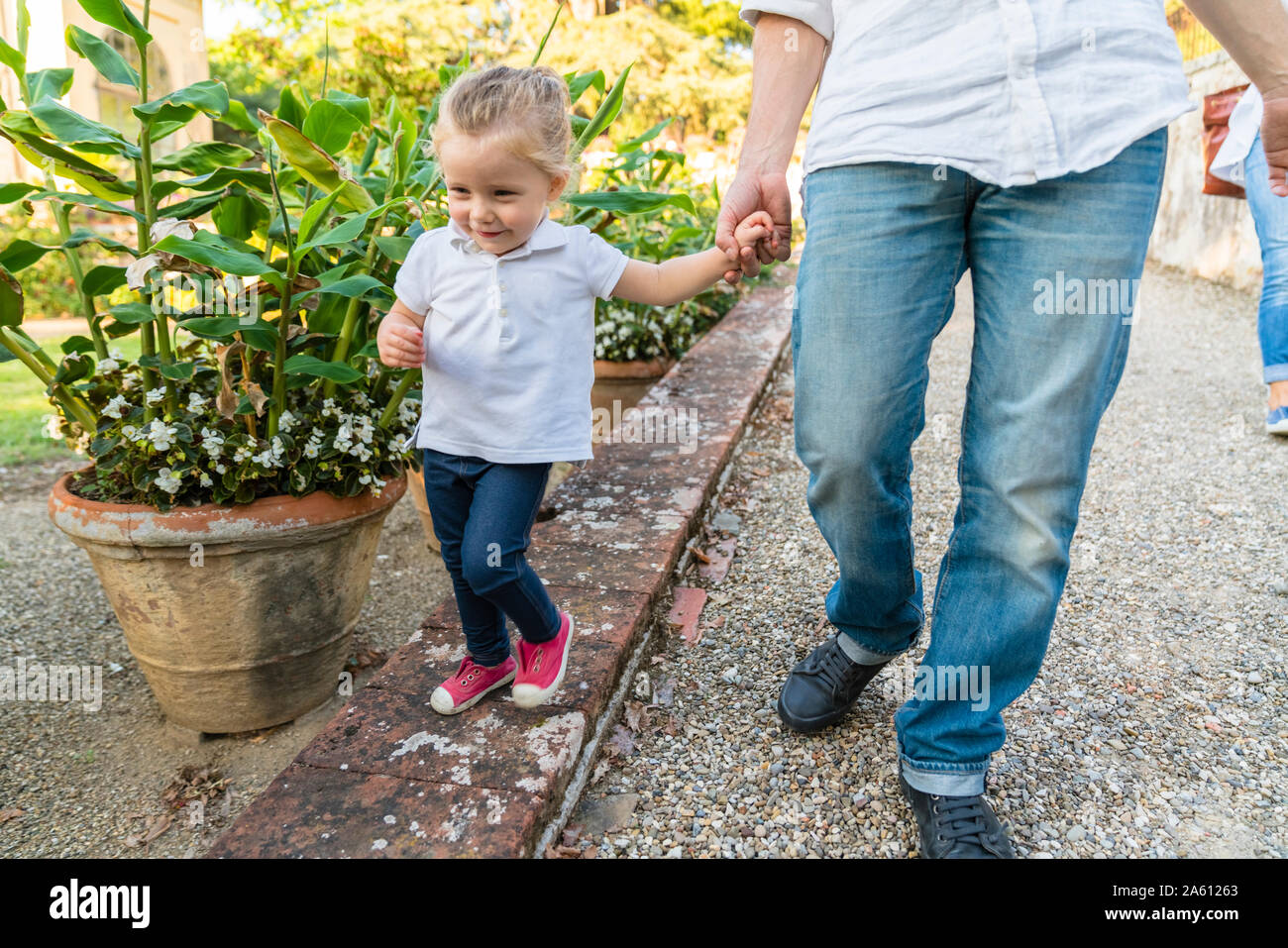 Girl walking hand in hand with father in a park Stock Photo - Alamy