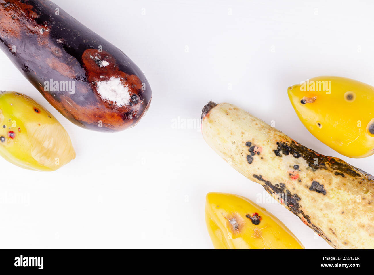Rotten organic farm vegetables, zero waste production in food industry concept Stock Photo