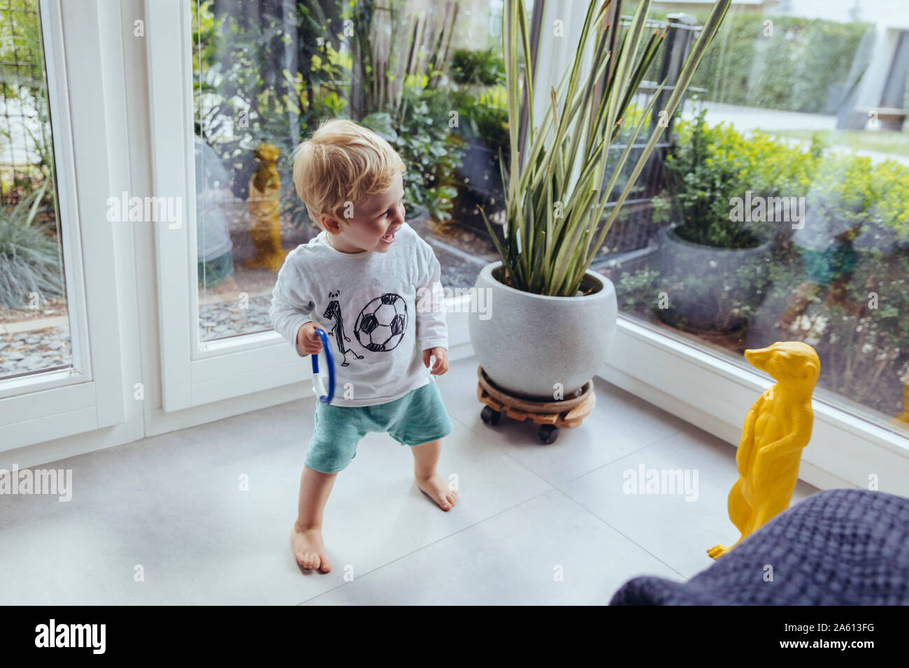 Little boy having fun with a plastic meerkat Stock Photo