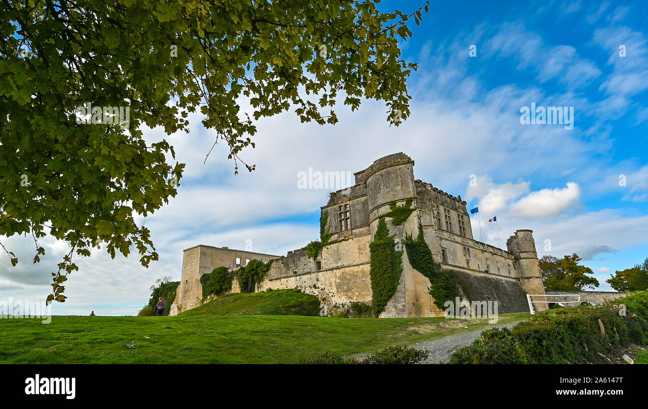 Bouteville, Cognac vineyards, Castle Bouteville, Charente Stock Photo ...