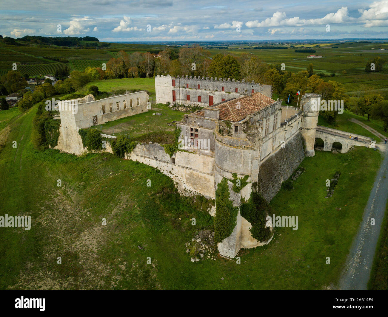 Bouteville Cognac Vineyards Castle Bouteville Charente Stock Photo bouteville-cognac-vineyards-castle-bouteville-charente-stock-photo