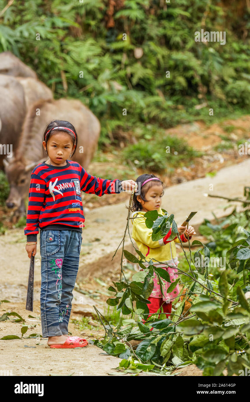 Pu Luong Nature Reserve, Thanh Hoa / Vietnam - March 10 2019: A little girl looking amazed to the camera. Stock Photo