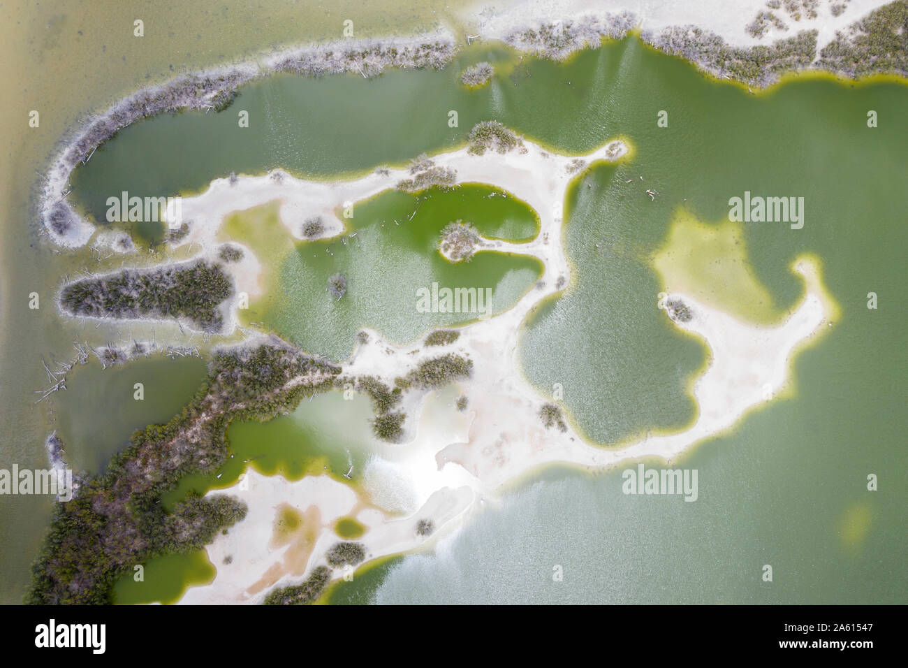Aerial view by drone of tropical lagoon next to Darkwood Beach, Antigua, Leeward Islands, West Indies, Caribbean, Central America Stock Photo