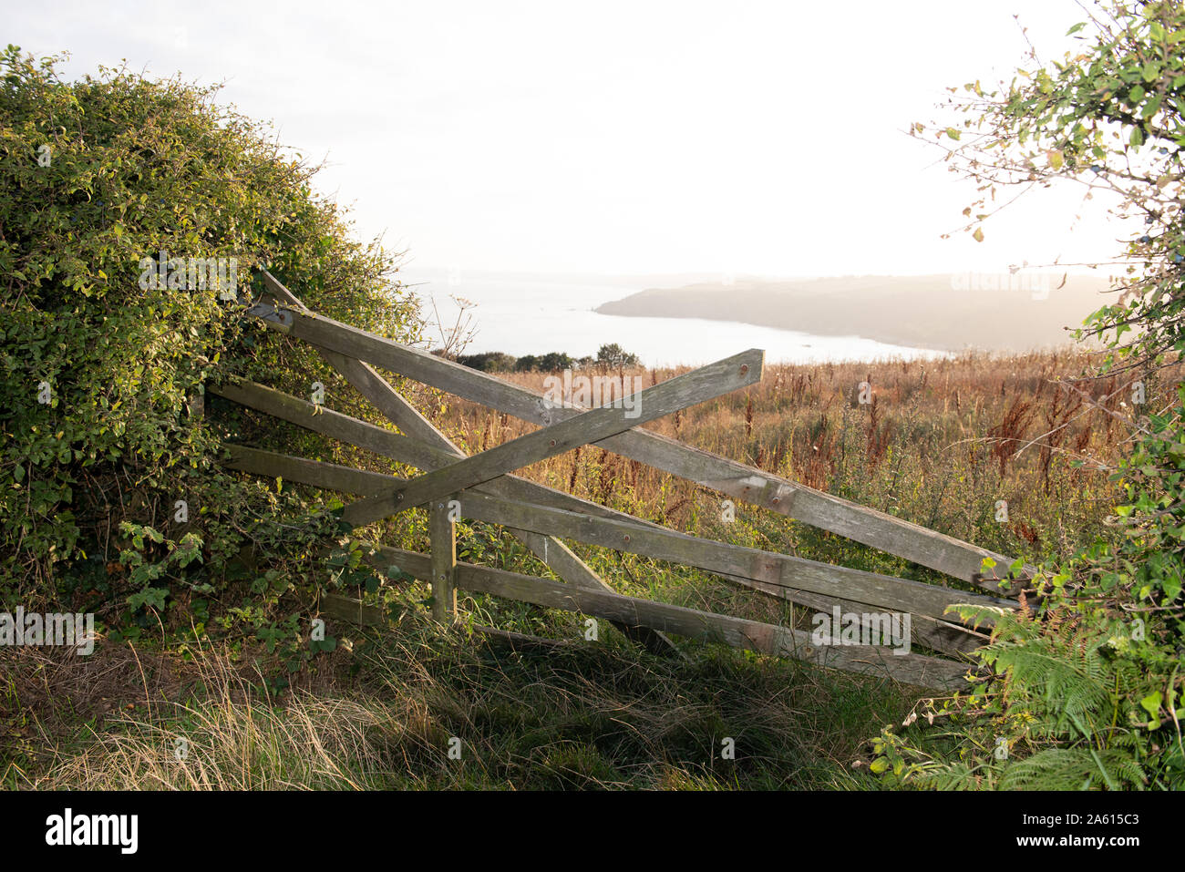 A broken gate to a field on the cliff top over looking a sea view with beautiful backlighting from the sunlight and room for text above from Devon. Stock Photo